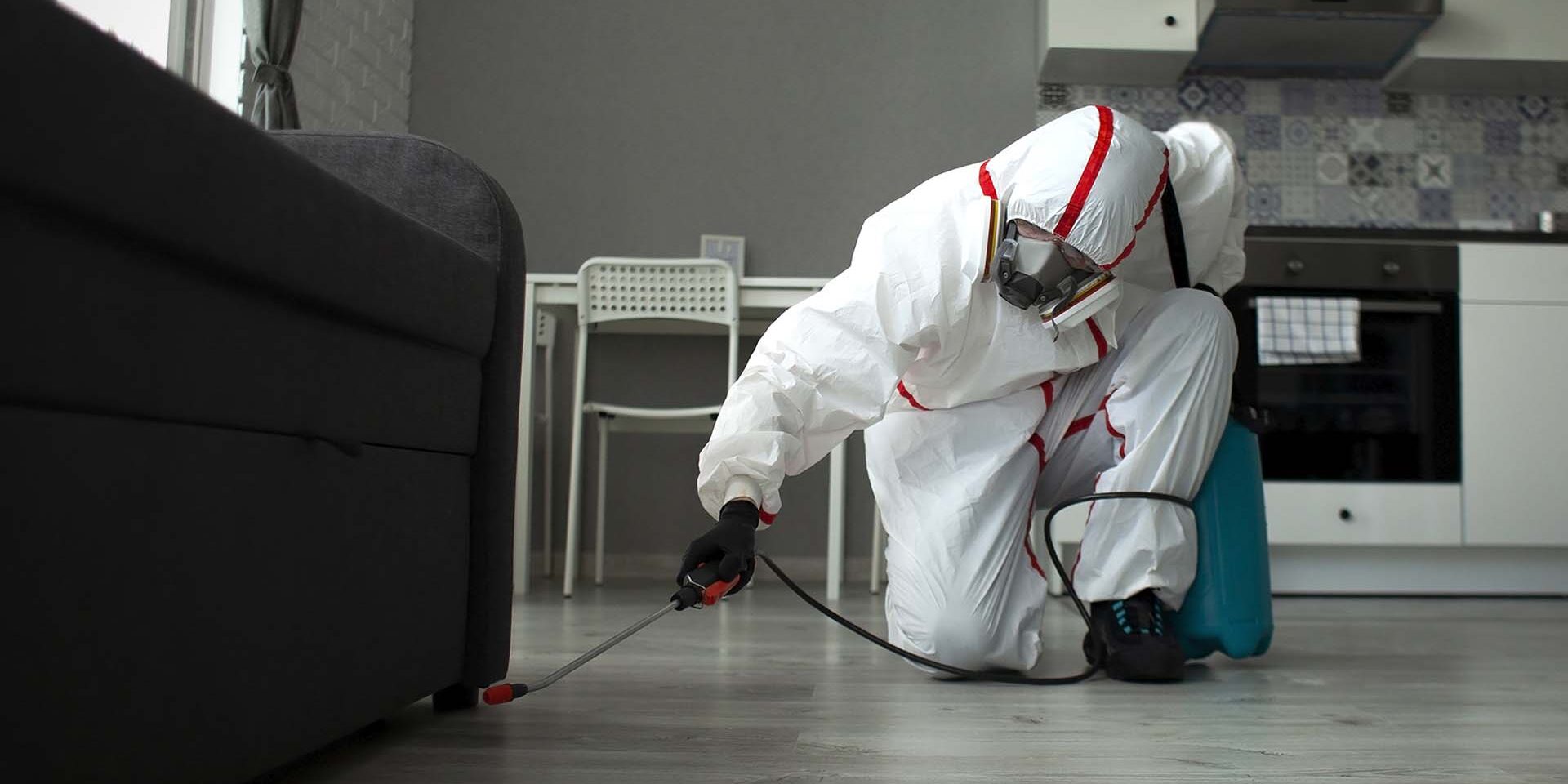 A pest removal worker spraying a home